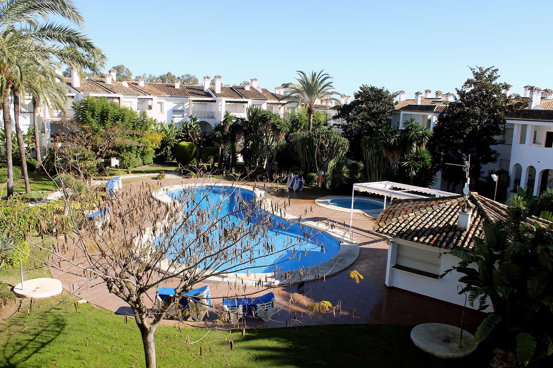 Alquiler apartamentos Estepona Primera linea de playa