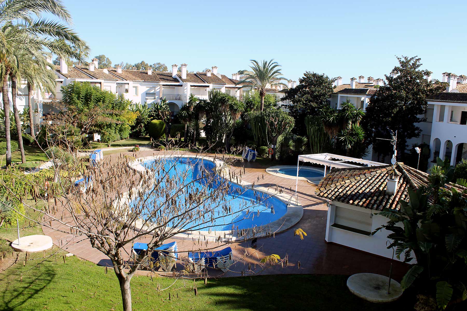 Holiday apartments Estepona Shared pool