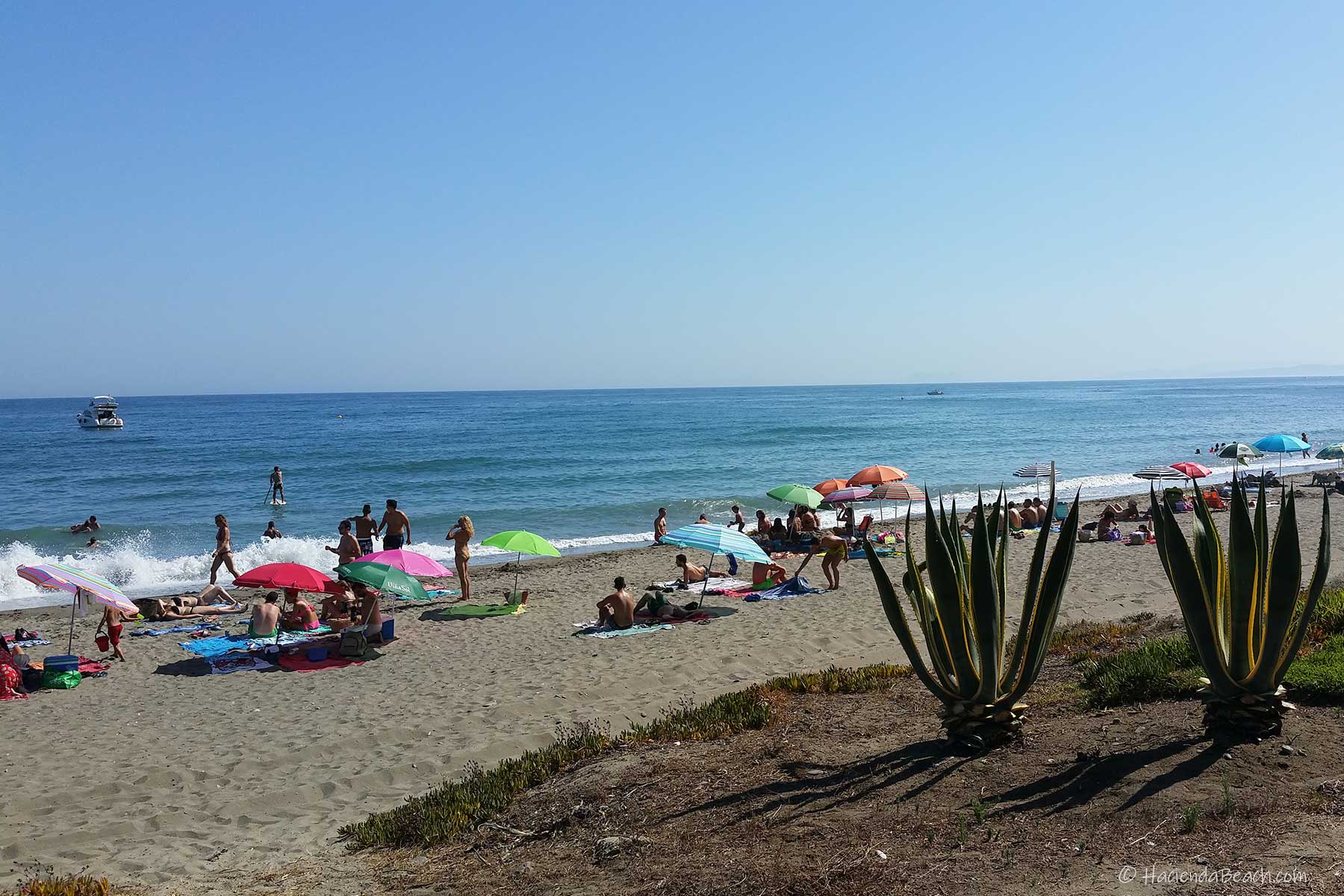 Alquiler apartamentos Estepona Playa frente a la residencia 