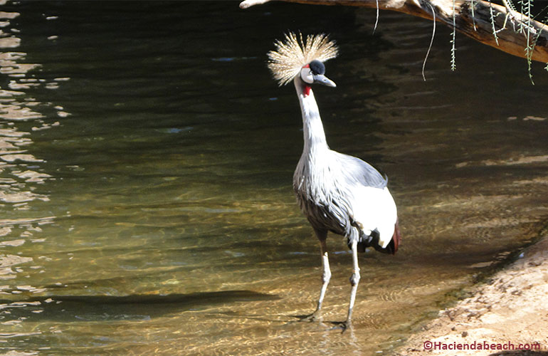 Bioparc Fuengirola animales y naturaleza