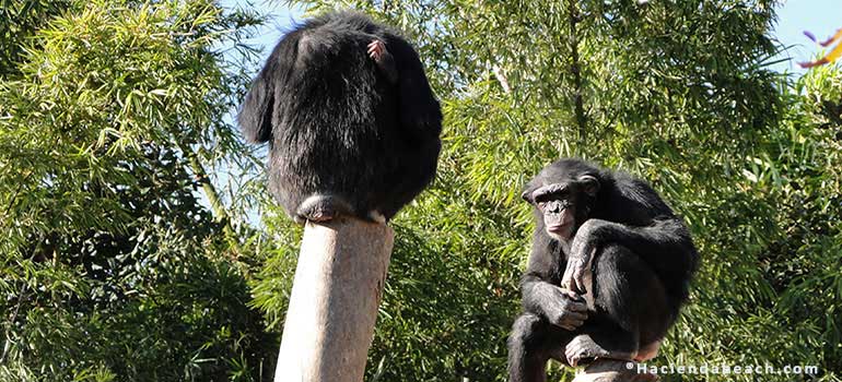 Bio Park Fuengirola