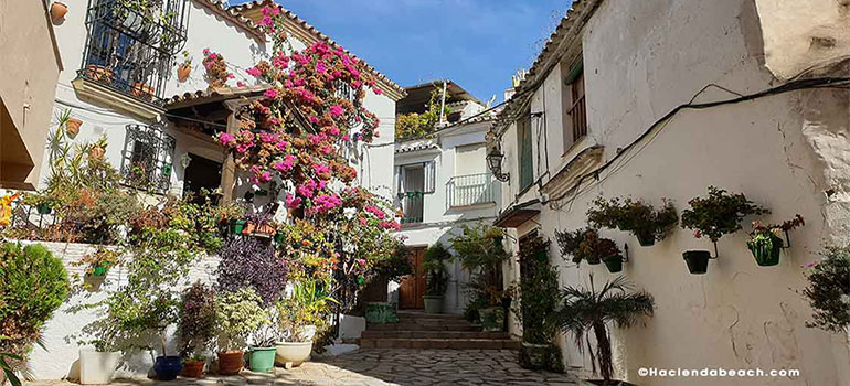 Estepona le jardin de la Costa del Sol