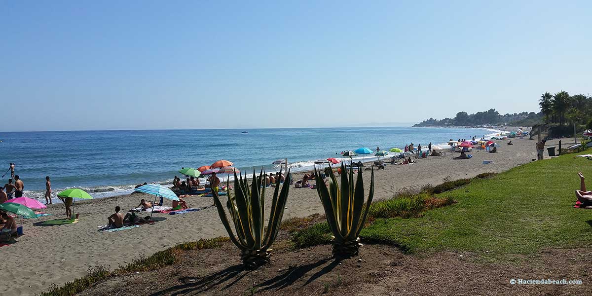 Playa Arroyo de las Cañas